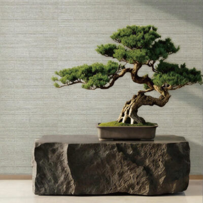 SGV 2026 Vision Lithos Collection